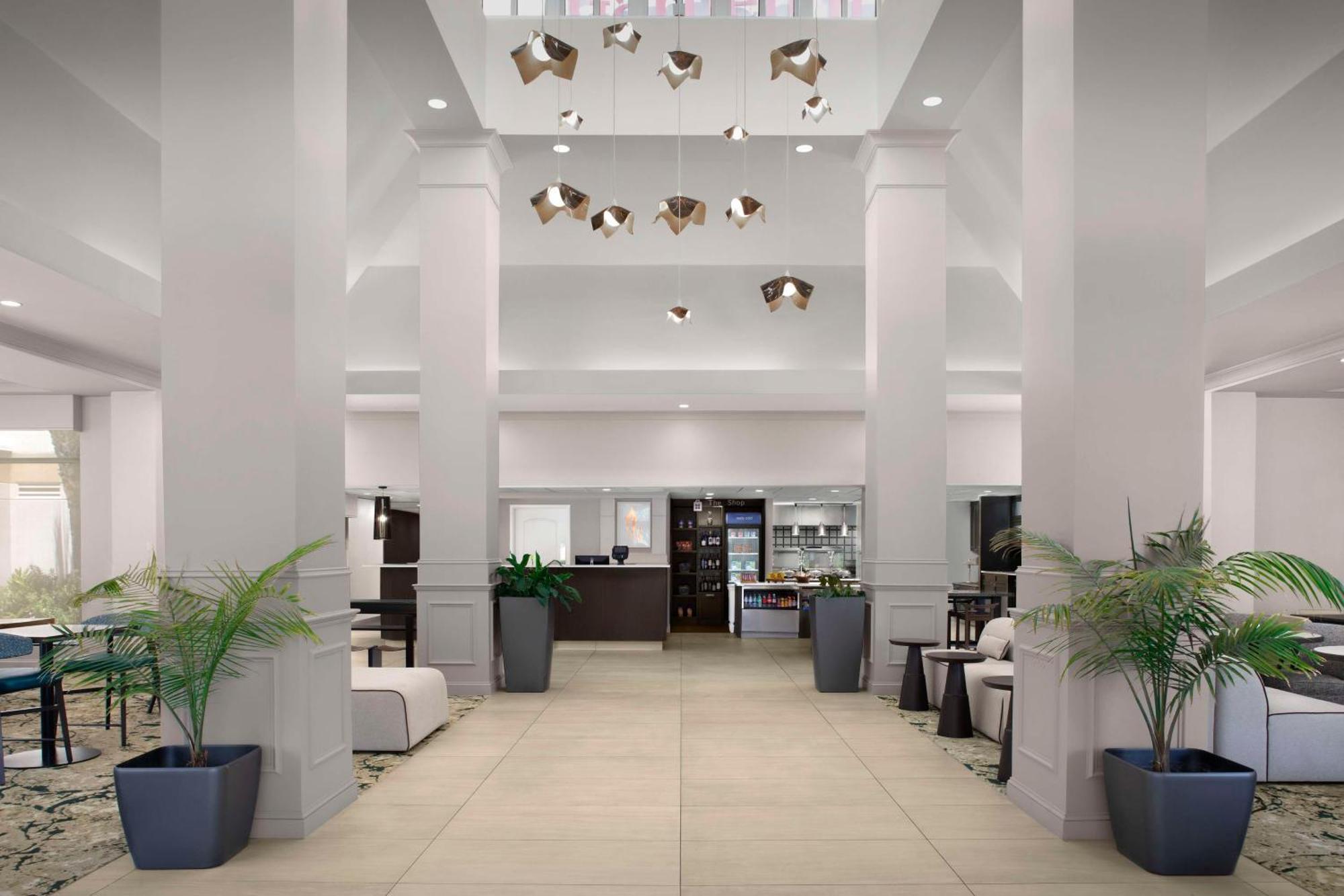 Hilton Garden Inn Γκέινσβιλ Εξωτερικό φωτογραφία