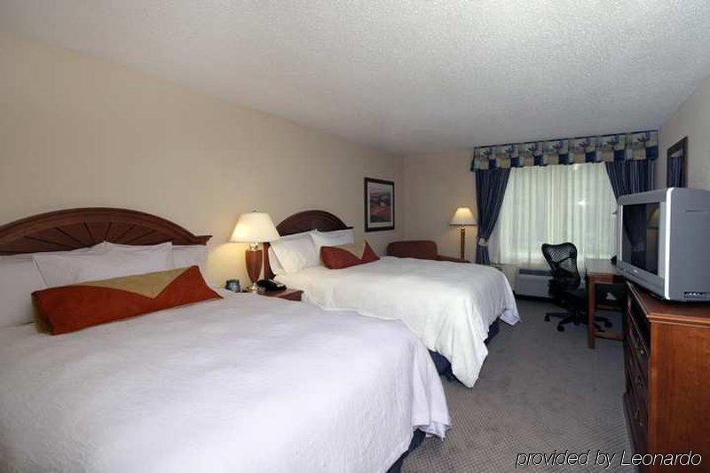 Hilton Garden Inn Γκέινσβιλ Δωμάτιο φωτογραφία